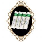 spon_botanical_frame