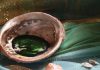 Underwater Garden Facial Masque