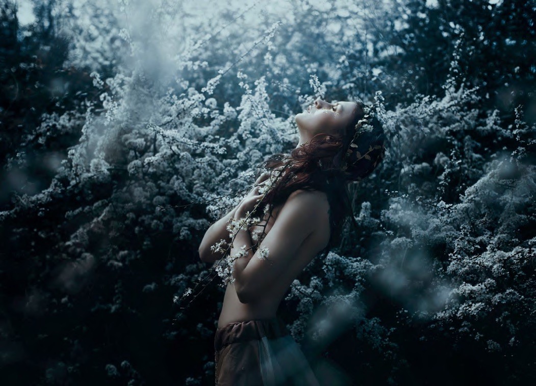 Cordelia, or the Price of Salt by SARA CLETO Photography by Bella Kotak