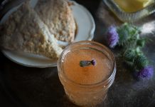 Gather Victoria Faerie Magazine THISTLE BLOSSOM JELLY