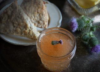 Gather Victoria Faerie Magazine THISTLE BLOSSOM JELLY