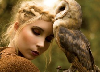 Photography: Michalina Woźniak Faerie Magazine Owls