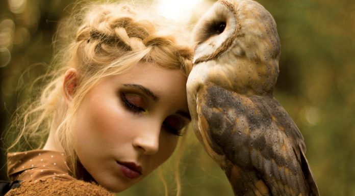 Photography: Michalina Woźniak Faerie Magazine Owls