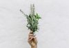 Photo by NordWood Themes on Unsplash