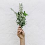 Photo by NordWood Themes on Unsplash