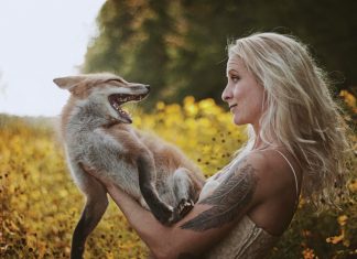 Images by Rachel Lauren Photography Spring time foxes