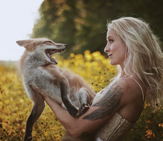 Images by Rachel Lauren Photography Spring time foxes