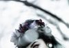 Photo by André Cuervo on Unsplash