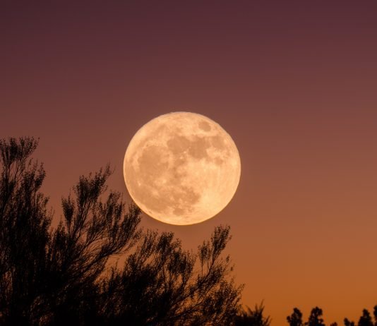 Photo by Ganapathy Kumar on Unsplash