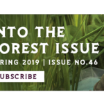issuebanner_cel_buynow_2019_1 copy copy