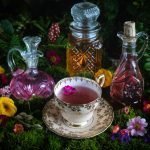 Enchanting Primrose Cordial Gather Victoria – 1