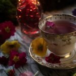 Enchanting Primrose Cordial Gather Victoria – 2