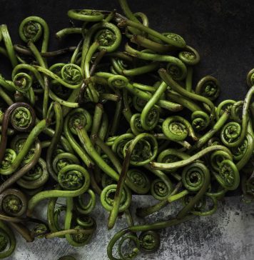 Fiddle Heads Faerie Magazine Enchanted Living Magazine Recipe by SARA GHEDINA