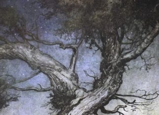 Fairy folk by an old gnarled tree by Arthur Rackham.