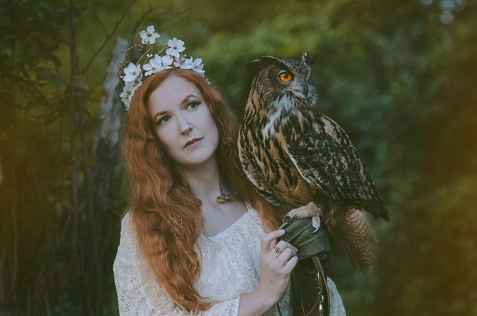 Bonding with Birds at the Ohio School of Falconry – Enchanted Living ...