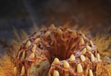 ORANGE JEWEL BARMBRACK