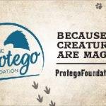 The Protego Foundation Business Card Ad FINAL