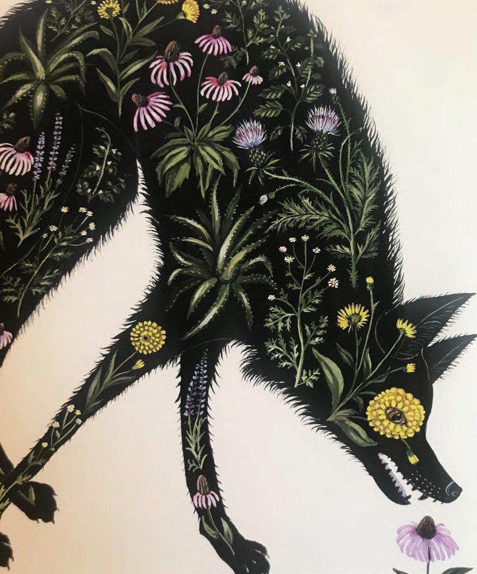 Artist Kelly Louise Judd - Flora and Fauna