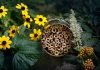 Make a Bee Hotel by Jennifer Muck-Dietrich Enchanted Living Magazine