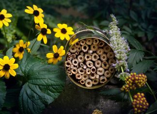 Make a Bee Hotel by Jennifer Muck-Dietrich Enchanted Living Magazine