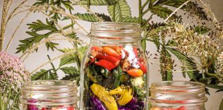 REFRIGERATOR QUICK PICKLES from MUST LOVE HERBS - Lauren May