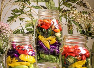 REFRIGERATOR QUICK PICKLES from MUST LOVE HERBS - Lauren May