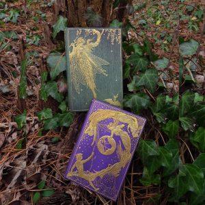 Andrew Lang Fairy Journals