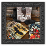 Crow Tarot – Product