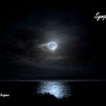 DeepMidnightPerfumes_05