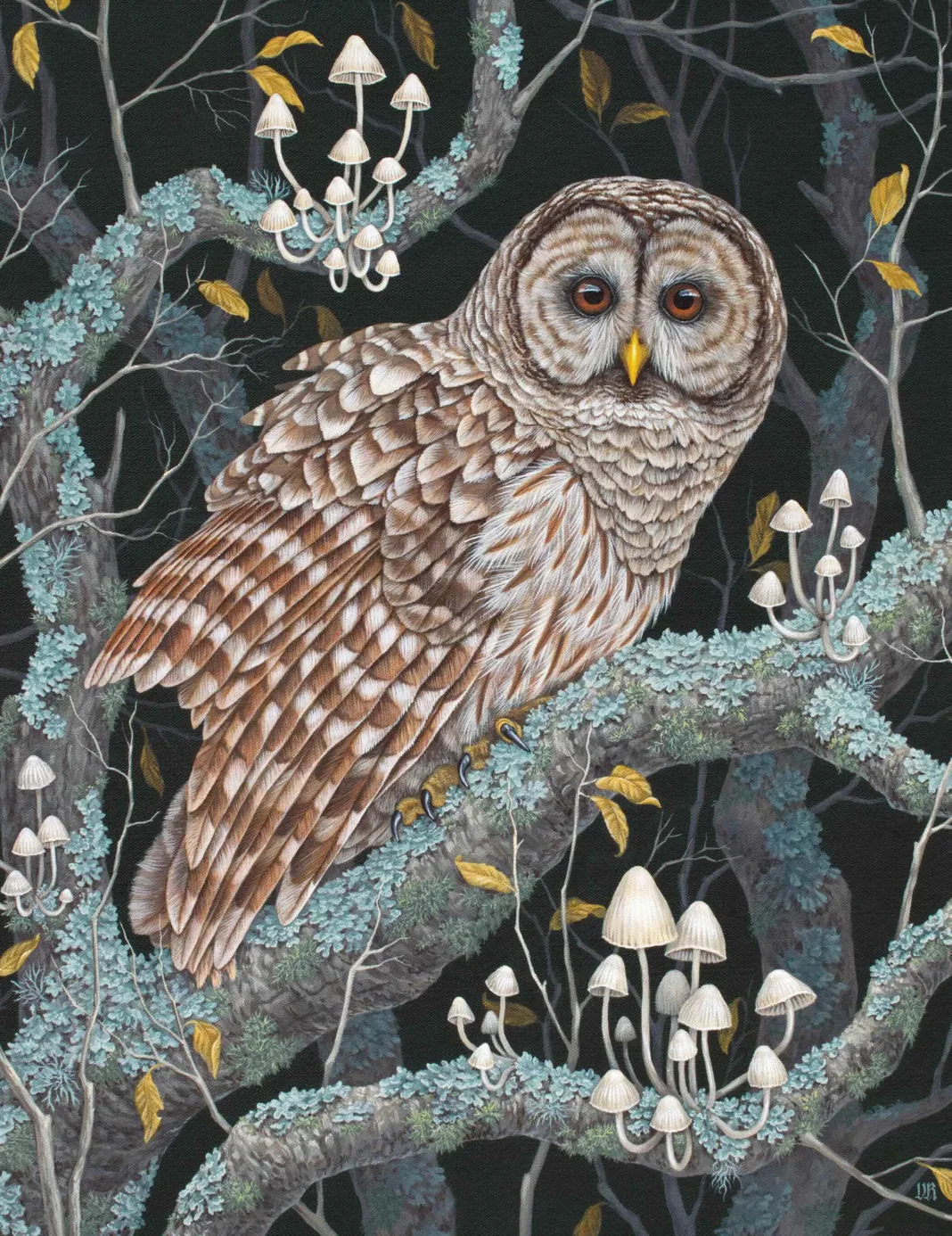 Barred Owl (2022), by Vasilisa Romanenko vasilisaart.com