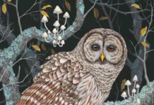 Barred Owl (2022), by Vasilisa Romanenko vasilisaart.com