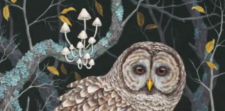 Barred Owl (2022), by Vasilisa Romanenko vasilisaart.com