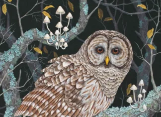 Barred Owl (2022), by Vasilisa Romanenko vasilisaart.com