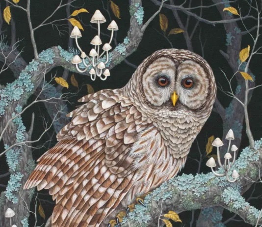 Barred Owl (2022), by Vasilisa Romanenko vasilisaart.com