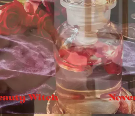 The Beauty Witch: Novemeber
