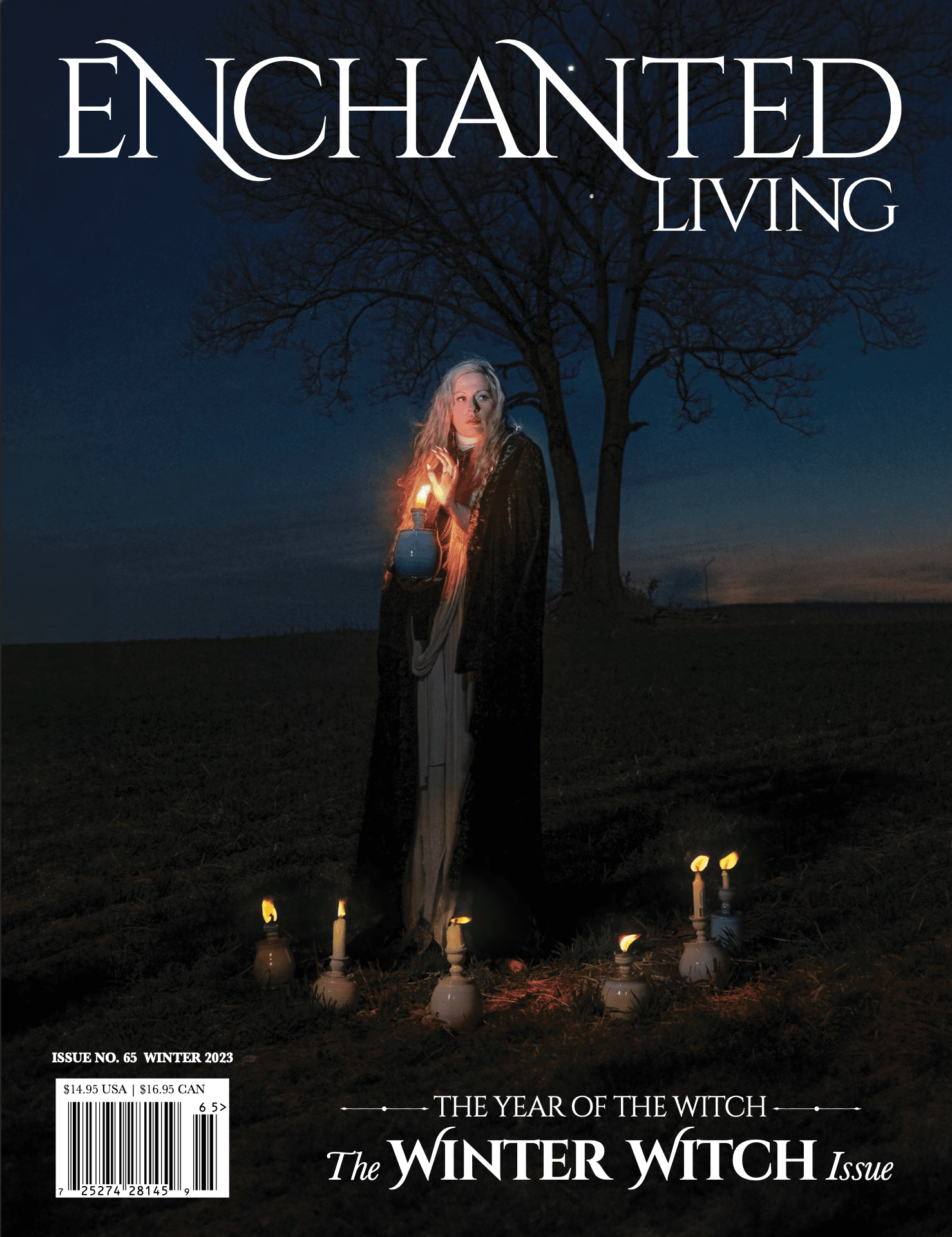 Enchanted Living - Winter Witch