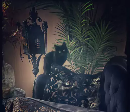 Sanctuary-Photography by SARAJANE CORANI-2