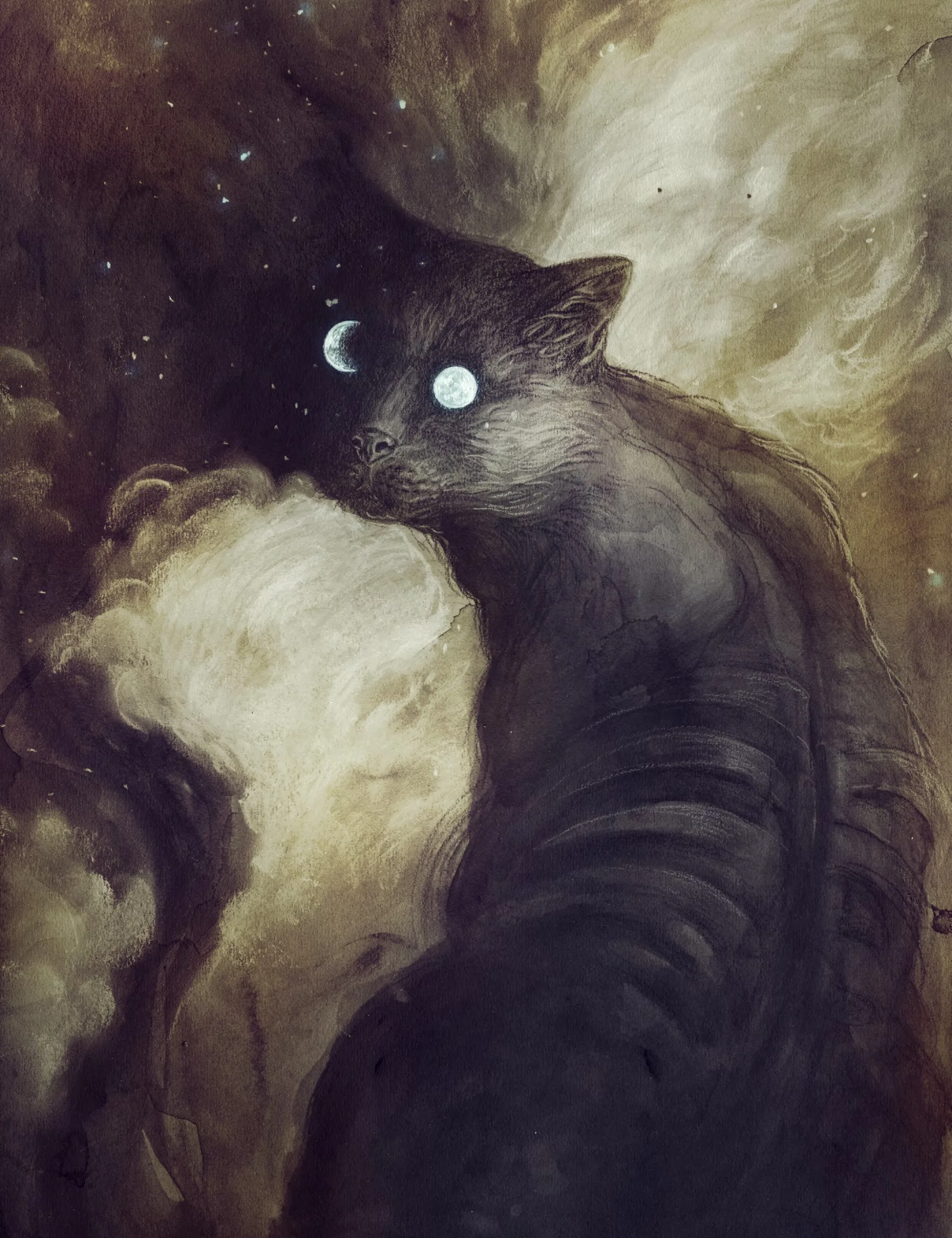 Cat and the Moon by Jana Heidersdorf