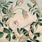 BAL_203954