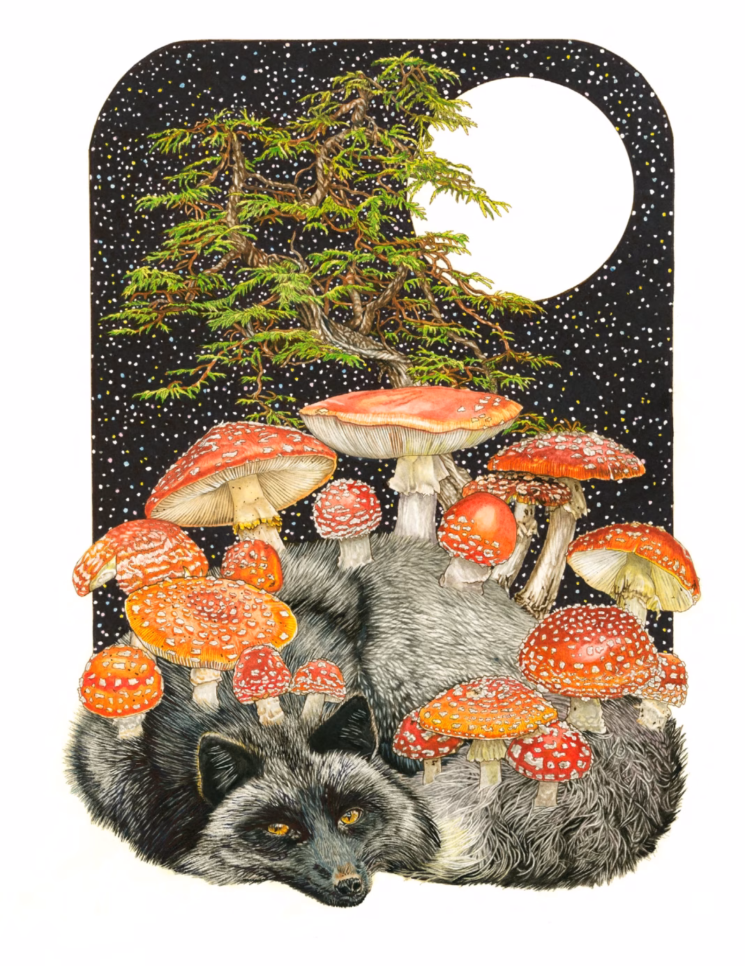 What Shines in the Dark by Katrina Haffner