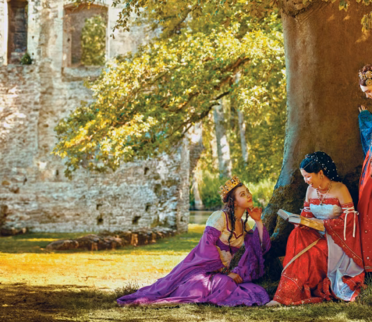 Three Curious Princesses: And the transformations at Minster Lovell Hall
