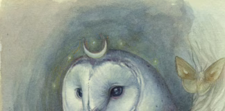 Moonkeeper by Katrina Sesum