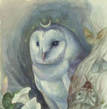 Moonkeeper by Katrina Sesum