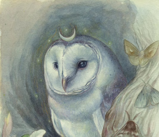 Moonkeeper by Katrina Sesum