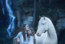 Creating the Elven Family