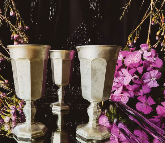 Conjuring Beauty: The Power of Sisterhood Trois de Coupes